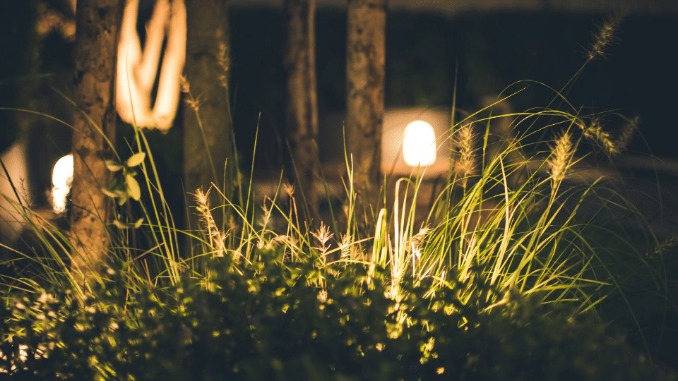 Featured Listing New Blog (5)