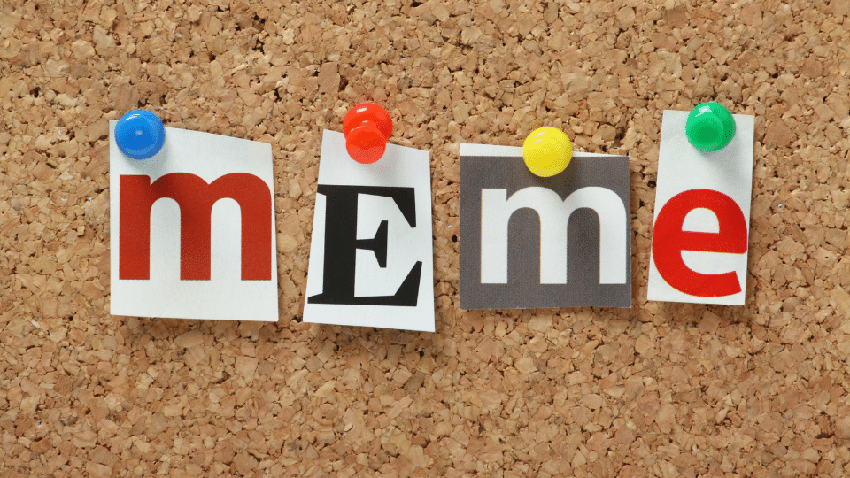 Featured Listing New Blog 2 (4)